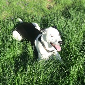 Meet your Posher, Samantha